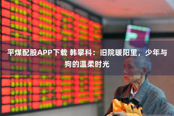 平煤配股APP下载 韩攀科：旧院暖阳里，少年与狗的温柔时光
