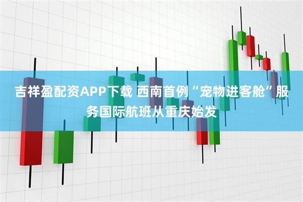 吉祥盈配资APP下载 西南首例“宠物进客舱”服务国际航班从重庆始发