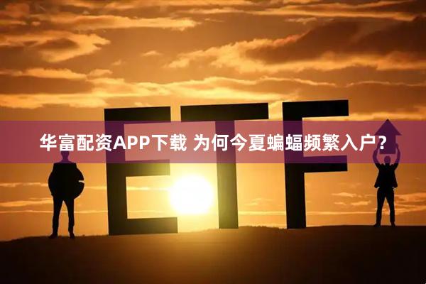 华富配资APP下载 为何今夏蝙蝠频繁入户？